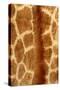 Giraffe Fur-Siede Preis-Stretched Canvas