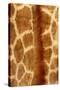 Giraffe Fur-Siede Preis-Stretched Canvas