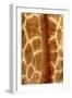 Giraffe Fur-Siede Preis-Framed Photographic Print