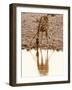 Giraffe (Giraffa Camelopardalis), Etosha National Park, Namibia, Africa-Sergio Pitamitz-Framed Photographic Print