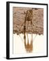 Giraffe (Giraffa Camelopardalis), Etosha National Park, Namibia, Africa-Sergio Pitamitz-Framed Photographic Print