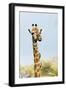 Giraffe (Giraffa camelopardalis) with oxpecker on its neck, Kruger Nat'l Park, South Africa, Africa-Christian Kober-Framed Photographic Print