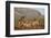 Giraffe (Giraffa camelopardalis), Zimanga game reserve, KwaZulu-Natal-Ann and Steve Toon-Framed Photographic Print