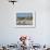 Giraffe (Giraffa Camelopardis) and Zebras (Equus Burchelli), Etosha Nat'l Park, Namibia-Kim Walker-Framed Photographic Print displayed on a wall