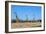 Giraffe (Giraffe camelopardalis), Kgalagadi Transfrontier Park-Ann and Steve Toon-Framed Photographic Print