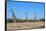 Giraffe (Giraffe camelopardalis), Kgalagadi Transfrontier Park-Ann and Steve Toon-Framed Stretched Canvas