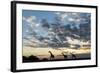 Giraffe Herd along Chobe River, Chobe National Park, Botswana-Paul Souders-Framed Photographic Print