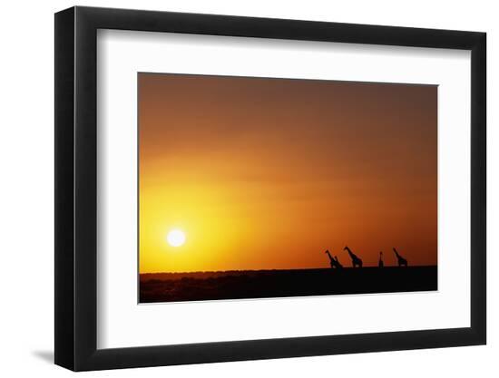 Premium Photographic Print, , large
