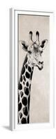 Giraffe I-Vivien Rhyan-Framed Premium Giclee Print