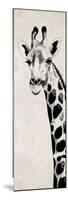 Giraffe II-Vivien Rhyan-Mounted Premium Giclee Print