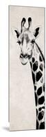 Giraffe II-Vivien Rhyan-Mounted Art Print