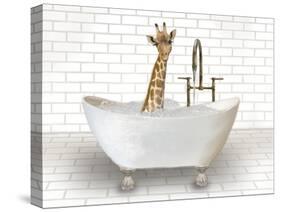 Giraffe In Bathtub-Matthew Piotrowicz-Stretched Canvas