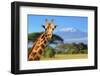 Giraffe in Front of Kilimanjaro Mountain-byrdyak-Framed Photographic Print