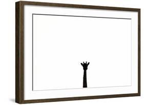 Giraffe in Serengeti, Tanzania-Paul Joynson Hicks-Framed Photographic Print