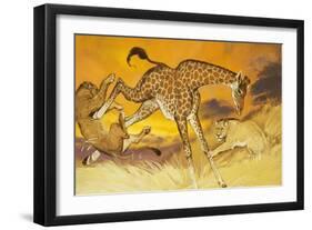 Giraffe Kicking Lion-Angus Mcbride-Framed Giclee Print