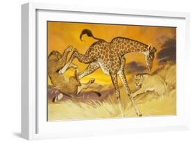 Giraffe Kicking Lion-Angus Mcbride-Framed Giclee Print