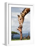 Giraffe Kissing Baby-null-Framed Art Print