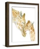 Giraffe Love on White-Katrina Pete-Framed Art Print