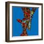 Giraffe Love-Sharon Turner-Framed Art Print