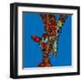 Giraffe Love-Sharon Turner-Framed Art Print