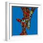 Giraffe Love-Sharon Turner-Framed Art Print