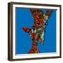 Giraffe Love-Sharon Turner-Framed Art Print