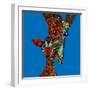 Giraffe Love-Sharon Turner-Framed Art Print