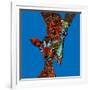 Giraffe Love-Sharon Turner-Framed Art Print