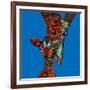 Giraffe Love-Sharon Turner-Framed Art Print