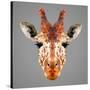 Giraffe Low Poly Portrait-kakmyc-Stretched Canvas