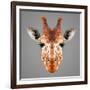 Giraffe Low Poly Portrait-kakmyc-Framed Art Print