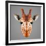 Giraffe Low Poly Portrait-kakmyc-Framed Art Print