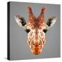 Giraffe Low Poly Portrait-kakmyc-Stretched Canvas