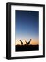 Giraffe, Makgadikgadi Pans National Park, Botswana-Paul Souders-Framed Premium Photographic Print