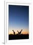 Giraffe, Makgadikgadi Pans National Park, Botswana-Paul Souders-Framed Photographic Print