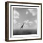 Giraffe, Masai Mara Game Reserve, Kenya-Paul Souders-Framed Photographic Print