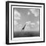 Giraffe, Masai Mara Game Reserve, Kenya-Paul Souders-Framed Photographic Print