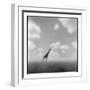 Giraffe, Masai Mara Game Reserve, Kenya-Paul Souders-Framed Photographic Print