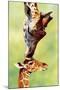 Giraffe Mom-null-Mounted Poster