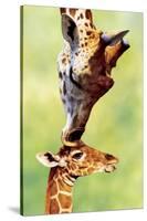 Giraffe Mom-null-Stretched Canvas