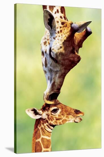 Giraffe Mom-null-Stretched Canvas