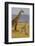 Giraffe Mother and Baby Giraffe on the Savanah of the Masai Mara, Kenya Africa-Darrell Gulin-Framed Photographic Print