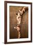 Giraffe Mother's Kiss-null-Framed Premium Giclee Print