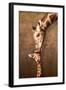 Giraffe Mother's Kiss-null-Framed Art Print