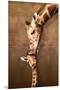 Giraffe Mother's Kiss-null-Mounted Art Print