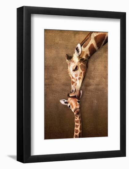 Giraffe Mother's Kiss-null-Framed Art Print