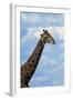 Giraffe, Nxai Pan National Park, Botswana, Africa-David Wall-Framed Photographic Print