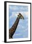 Giraffe, Nxai Pan National Park, Botswana, Africa-David Wall-Framed Photographic Print