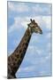 Giraffe, Nxai Pan National Park, Botswana, Africa-David Wall-Mounted Photographic Print
