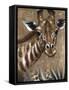 Giraffe on Print-Patricia Pinto-Framed Stretched Canvas